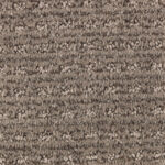 Candy Rustic Taupe Carpet