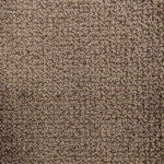 Harmony Loop Perfect Taupe Carpet