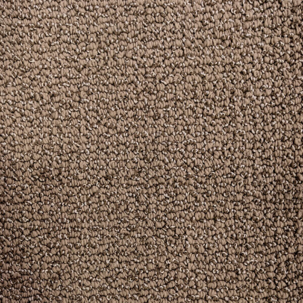 Harmony Loop Perfect Taupe Carpet