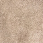 Sand Cove SPSG123 Karastan Carpet