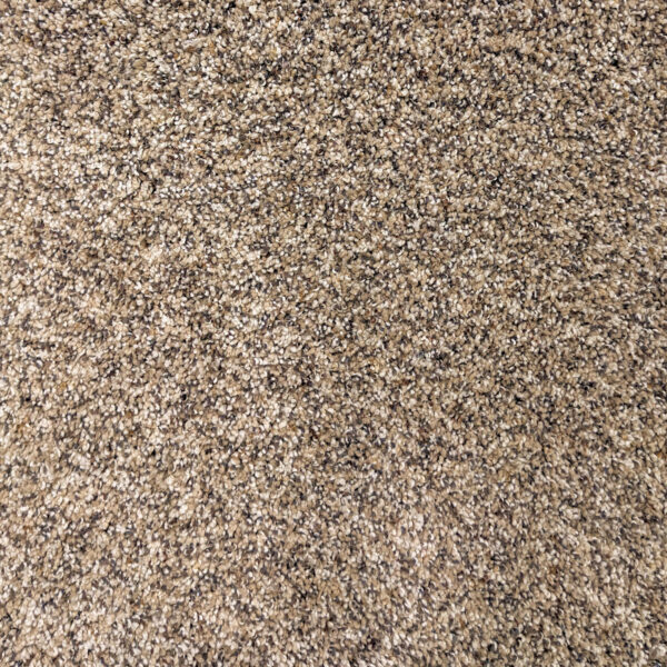 Highgate SPSG130 Karastan Carpet