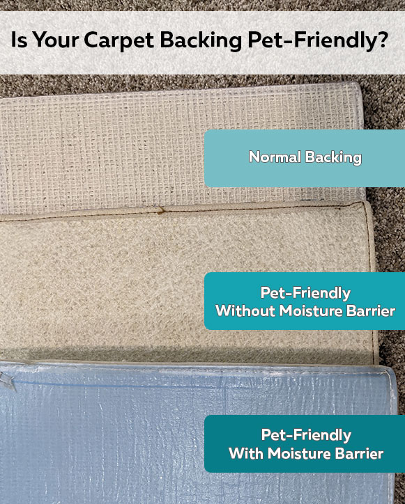 Pet Friendly Carpet Backing Examples