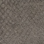 Tender Script Grey Fox Carpet