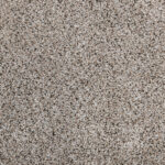 Carpet Every Detail Fox Chase