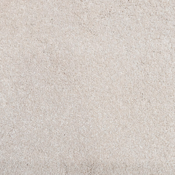 Carpet Refined Beauty Beach Sand